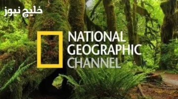 تردد قناة ناشيونال جيوغرافيك 2025 المفتوحة بجودة عالية ومعارك الحيوانات الحية على جميع الأجهزة